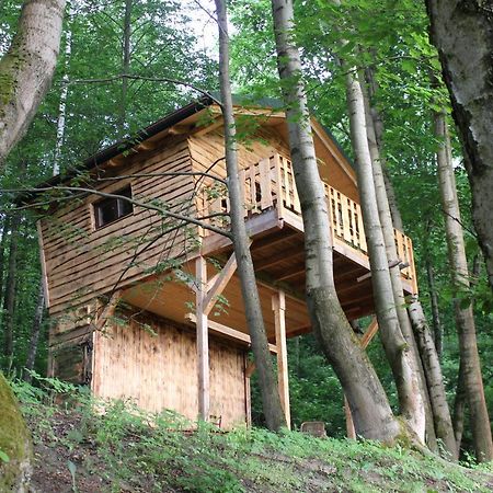 Treehouse Velké Losiny Extérieur photo
