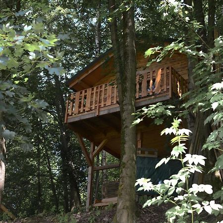 Treehouse Velké Losiny Extérieur photo