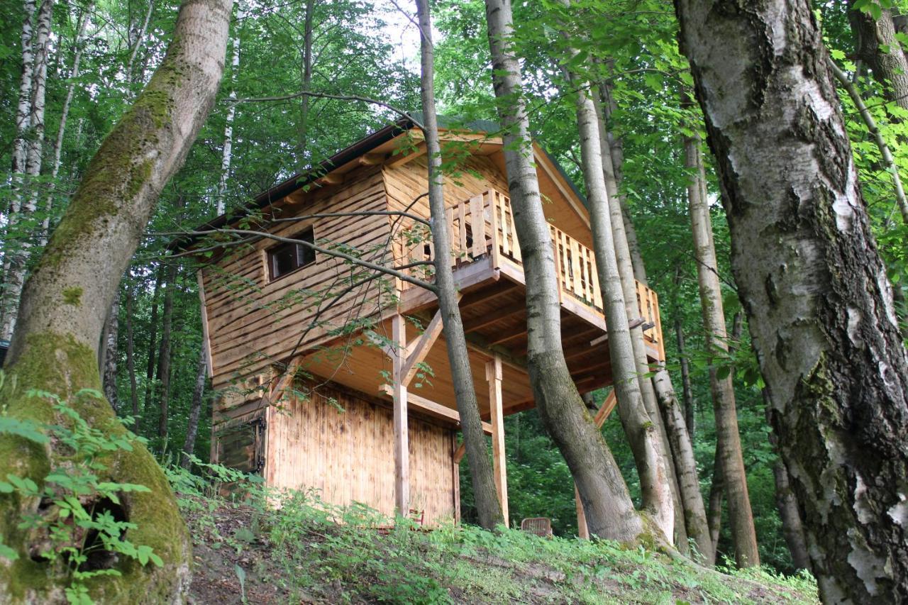 Treehouse Velké Losiny Extérieur photo