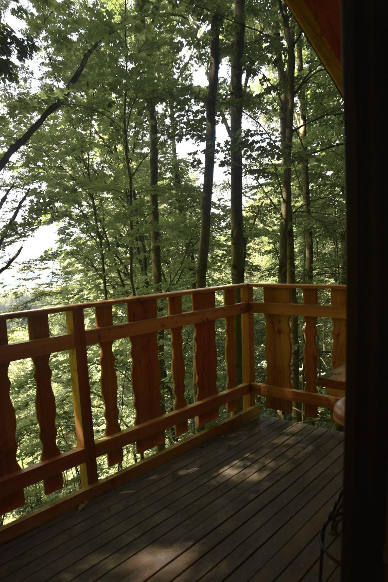 Treehouse Velké Losiny Extérieur photo